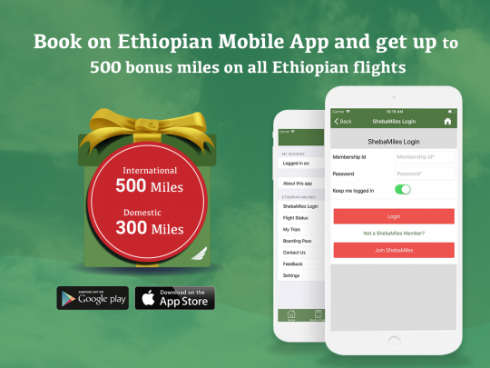 Ethiopian Airlines