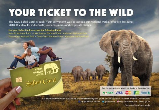 Kenya Wildlife Service Safari Card