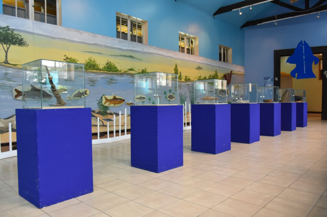 Hall of Fishes