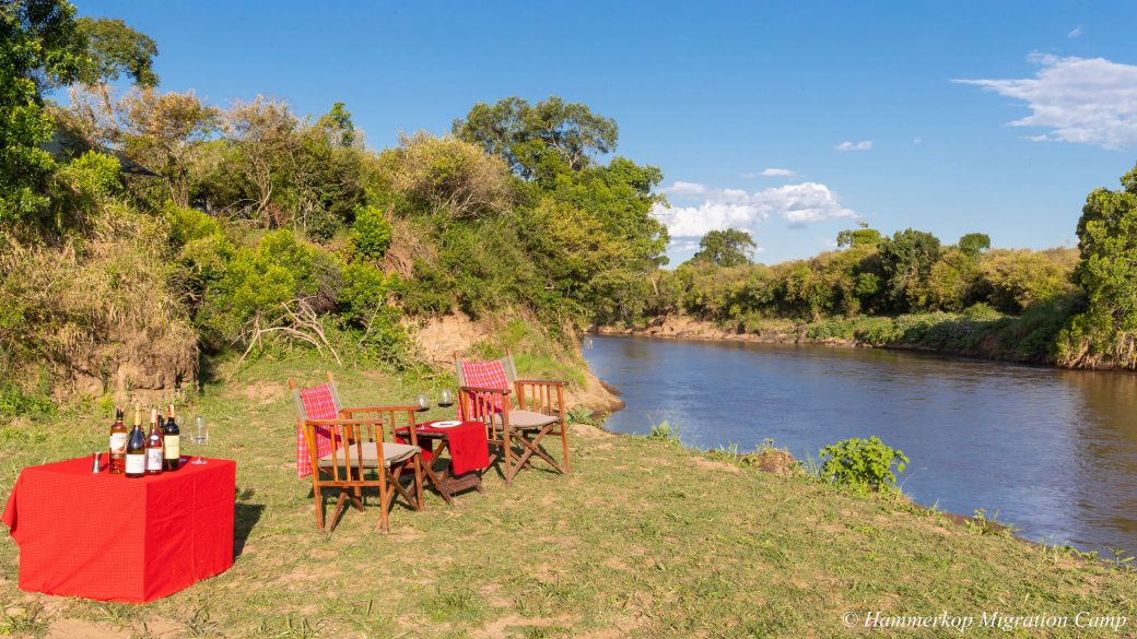 Hammerkop Migration Camp