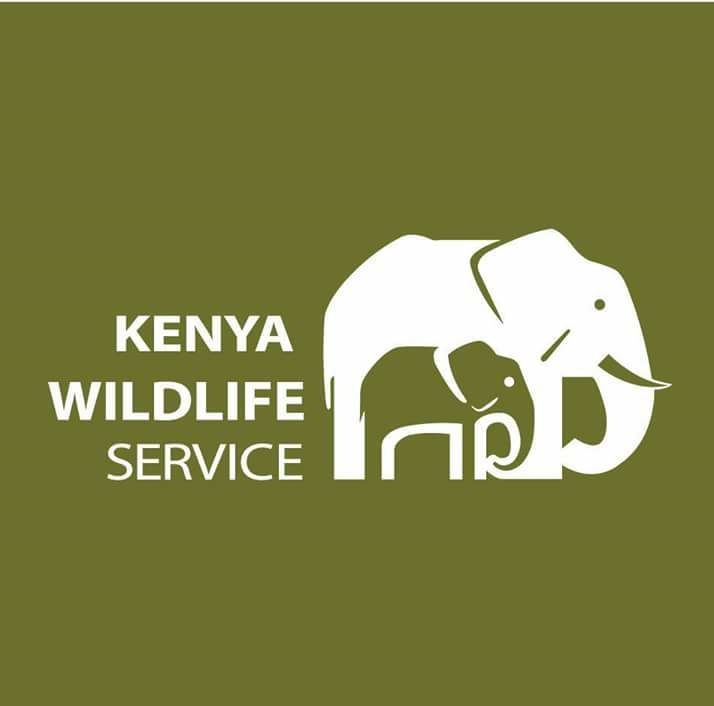 Extension of Reduced Park Fees Tariff by Kenya Wildlife Service