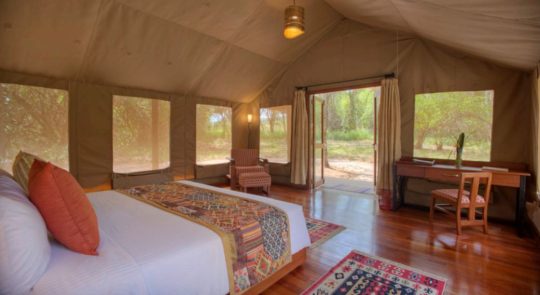 Experience A Memorable Safari Vacation In The Wild With Sarova Lodges & Camps