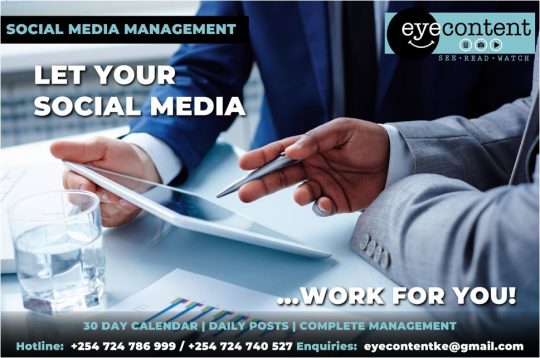 Professional Social Media Management Services