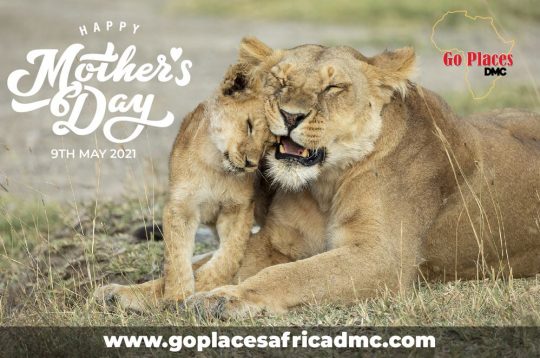 Mothers Day Kenya Travel Offers