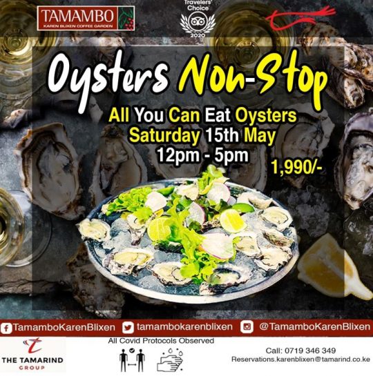 Tamambo Oysters Non Stop This Saturday