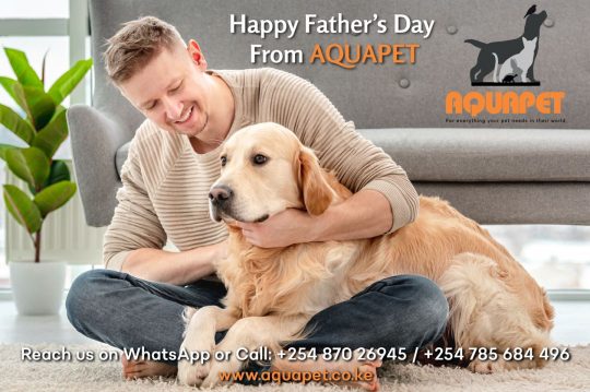 Quality Range of Dog Food From Aquapet for Man's Best Friend