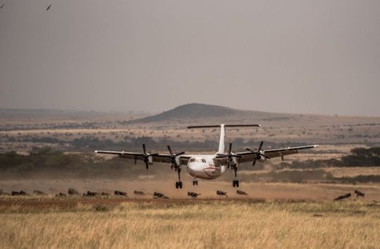 AirKenya Mara Migration Specials