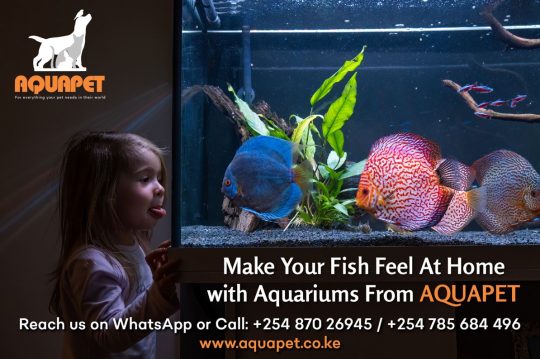 Aquariums From Aquapet