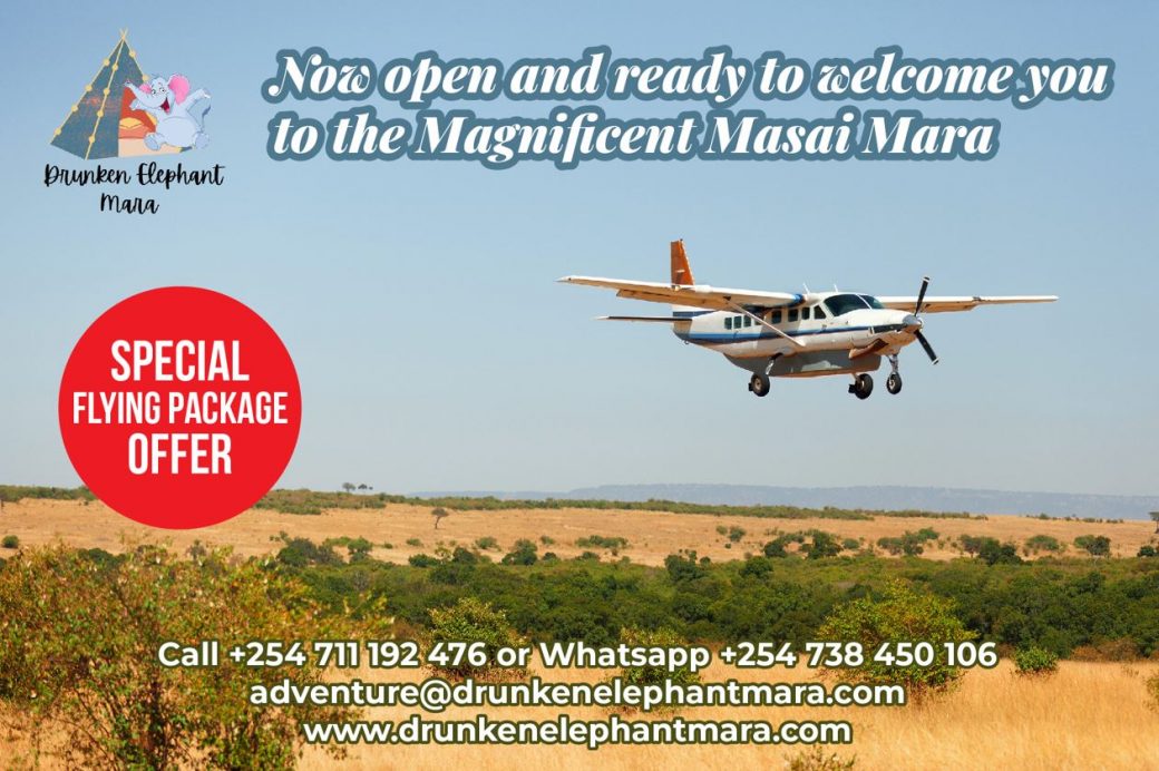 Masai Mara Flying Packages