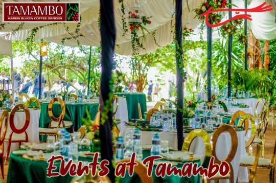 The Perfect Nairobi Event Venue - Tamambo Karen Blixen