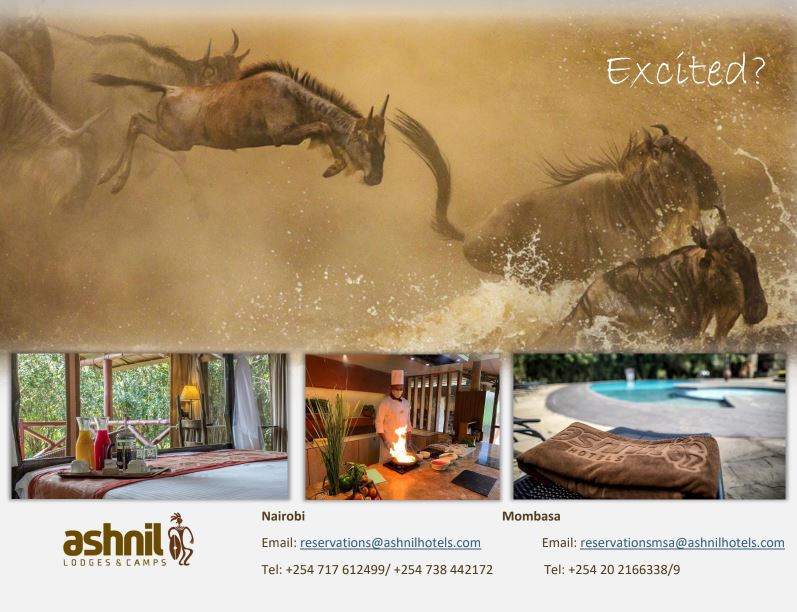 Ashnil Mara Wildebeest Migration Safari Experience