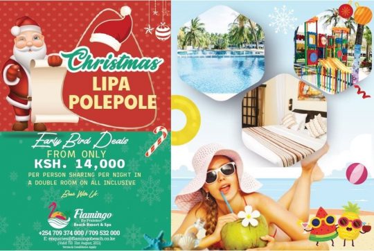 Early Bird Christmas Deal By Prideinn Flamingo - Lipa Polepole