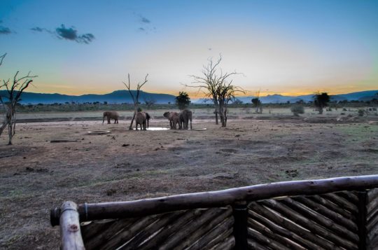 Sentrim Tsavo Camp Safari Special Offers