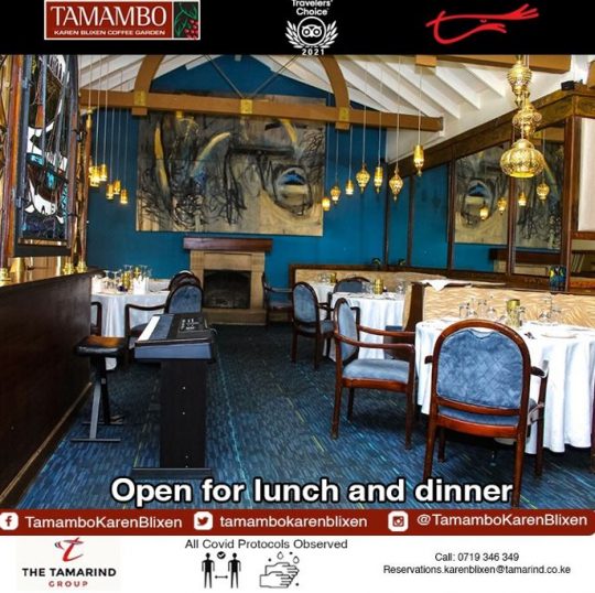 Tamambo Open for Lunch & Dinner