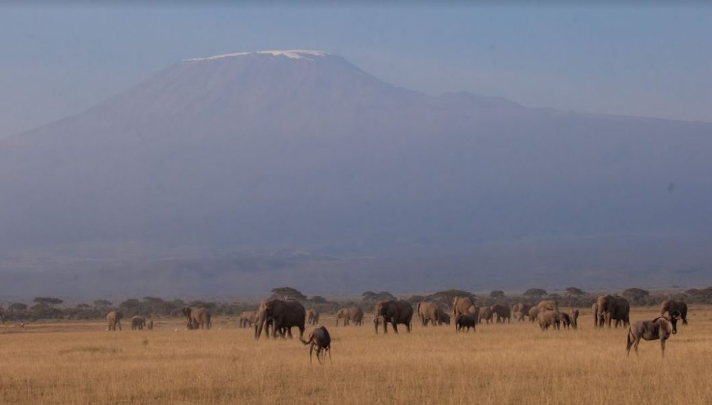 Inaugural Magical Kenya Tembo Naming Festival Receive Boost