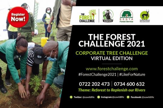 Forest Challenge 2021