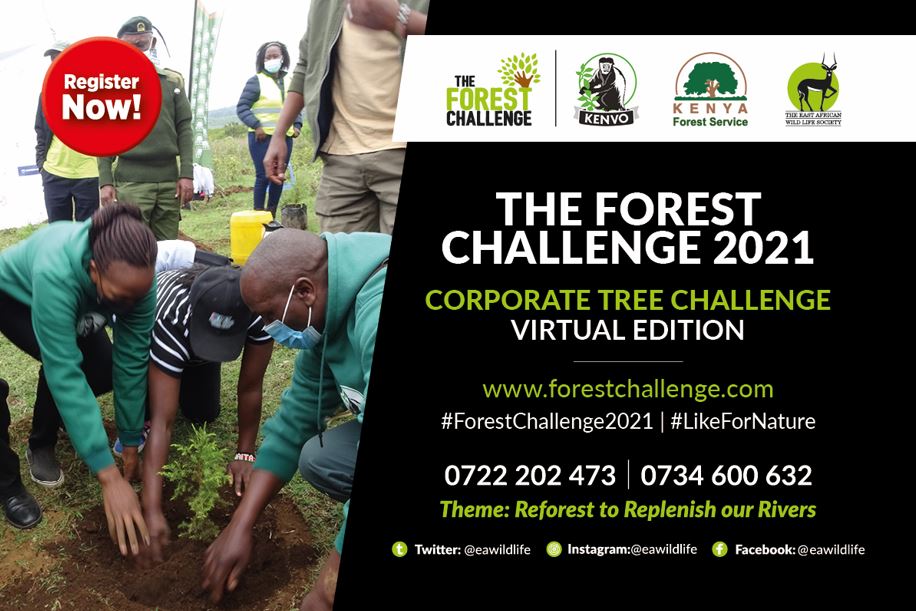 Forest Challenge 2021