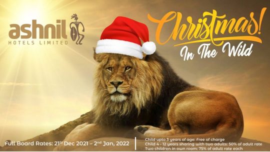 Affordable Christmas In The Wild Offer At Ashnil Hotels & Lodges