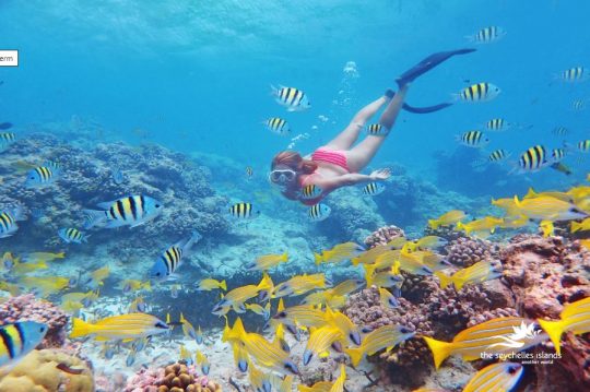 Exciting Things To Do While In Seychelles