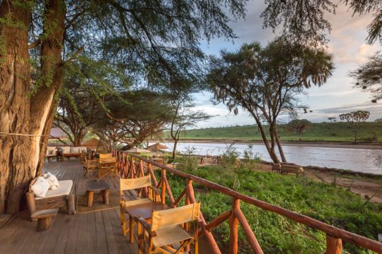 Have A Great Safari Experience Courtesy Of Atua Enkop