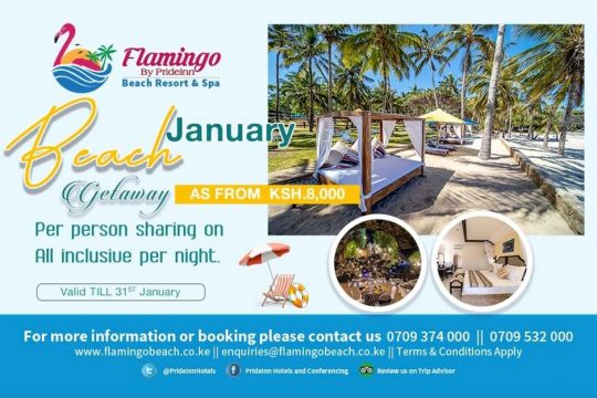 Amazing January Holiday Offer At Prideinn Flamingo