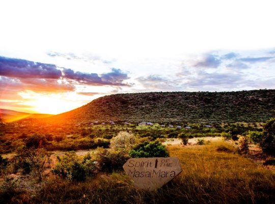 Unveiling The Spirit Of The Masai Mara