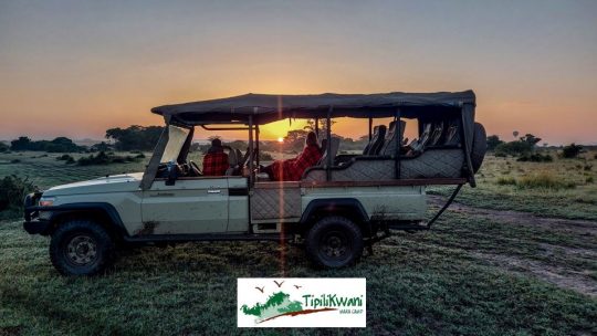 Have An Unforgettable Safari Experience With Our Special Offer At Tipilikwani Mara Camp