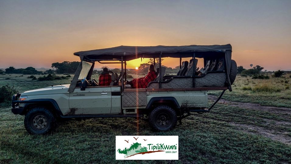 Have An Unforgettable Safari Experience With Our Special Offer At Tipilikwani Mara Camp