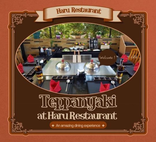 Have A Wonderful Dining Experience With Our Teppanyaki At The Amazing Haru Japanese Restaurant Nairobi