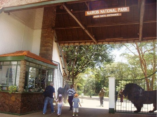 The Nairobi National Park Game Drive Charges, Opening Hours, Entrance Fees