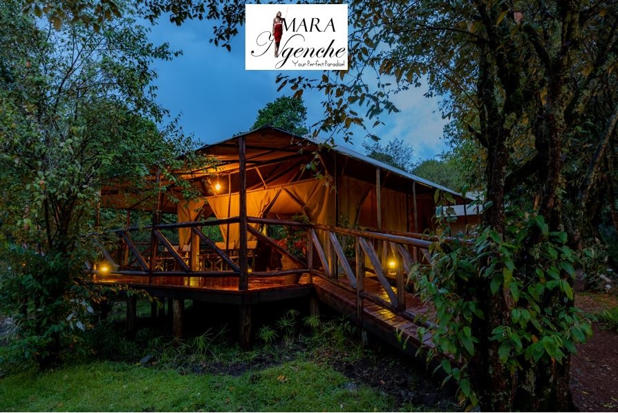 Explore The Beautiful Mara Ngenche Safari Camp