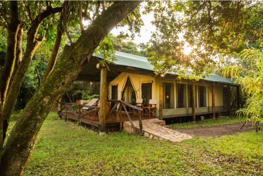 Luxury Safari Experience At Karen Blixen Camp